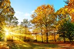 Herbstlandschaft