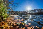 See im Herbst