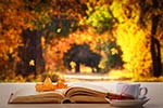 Blatt auf Buch